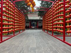 -关林