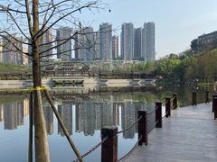 -重庆彩云湖湿地公园