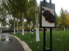 -九十九顶毡房(阜石路店)