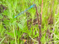 -阳光商都(悦园街分店)