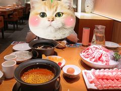 -呷哺呷哺(融创茂店)