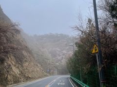 -兰山公园
