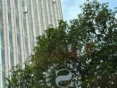 -喜来登由由大酒店九州膳坊中餐厅