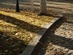 -哈尔滨文化公园