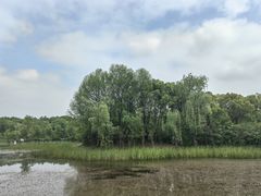 -长广溪湿地公园