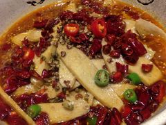 -菩提树·素食餐厅(汇智国际商业中心店)