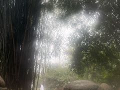 -三江森林温泉度假区