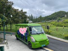 -贵州百里杜鹃风景名胜区