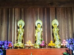 -亭林园-华藏寺