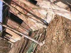 -亲兄弟真人CS团建拓展基地