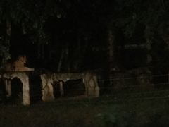 -清迈夜间动物园