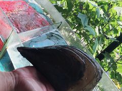 -沙龙酒家