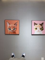 -洗脸猫·洗脸吧