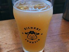 -猫员外精酿啤酒馆(国速荟店)