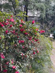 -杰爱月子护理中心