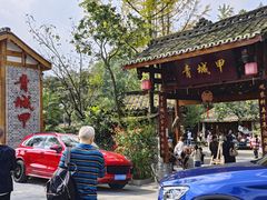 -青城甲(青城山店)