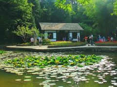 -庐山风景区花径公园