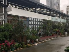 -六出私塾LiuChu•成人美术书法系统课程专业画室(熊婆婆的花园店)