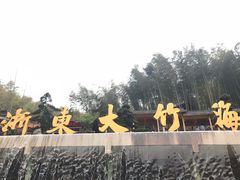 -宁波浙东大竹海景区