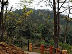 -广州市石门国家森林公园