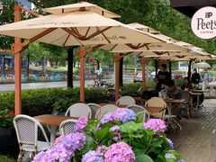 -Peet's Coffee皮爷咖啡(大学路店)