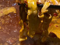 -五里关火锅(牛市口店)