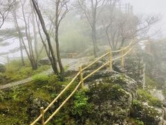 -牛背梁国家森林公园
