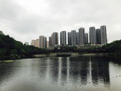 -重庆彩云湖湿地公园