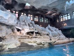 -帝企鹅自助餐厅•儿童岛•真企鹅(长隆企鹅酒店)