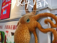 -红辣椒八爪鱼特色韩国料理专门店(远景路旗舰店)