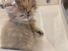 -寰映影城(大融城激光IMAX店)