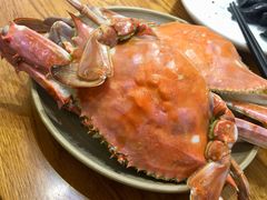 梭子蟹-必点海鲜·鲅鱼水饺(鞍山西道店)