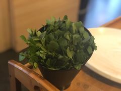 西洋菜-烹然四季椰子鸡火锅(团结湖总店)