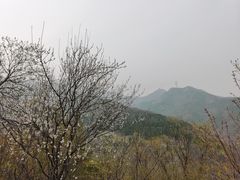 -北京鹫峰国家森林公园