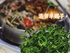 -浩爷羊蝎子火锅(望京店)