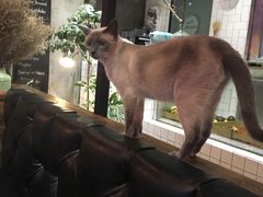 -MIKAKU(万达广场上海宝山店)