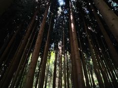 -太阳湾风景区
