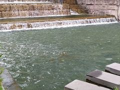 -成飞公园