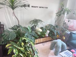 -Lumi露米·美甲美睫品质店