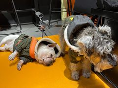 -一品牛鲜潮汕牛肉火锅(茶花园店)