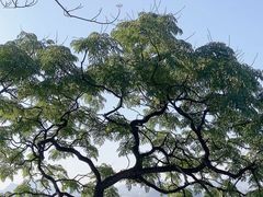 -桂林独秀峰王城景区