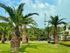 -Wagas沃歌斯(汇智店)