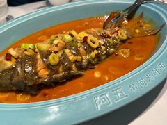 -阿五黄河大鲤鱼(英协路店)