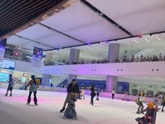 -TheRink大零溜冰场(IFS国金中心店)