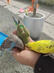 -萌宠亲子动物乐园(槐房万达店)