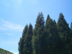 -玉舍国家森林公园