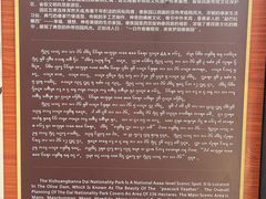 -西双版纳傣族园