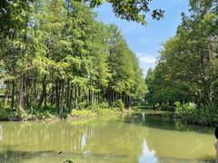 -西溪国家湿地公园