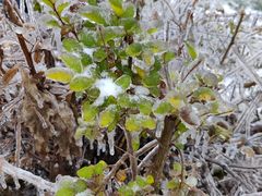 -长春公园(普阳街道)