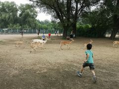 -北京麋鹿生态实验中心